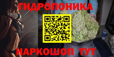 стаф Кимры
