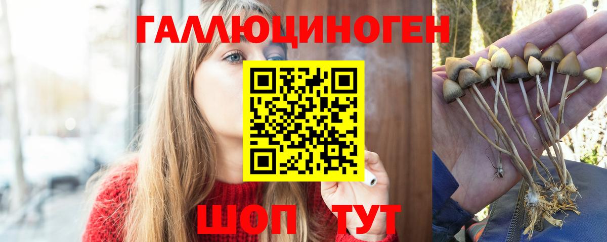 Галлюциногенные грибы мицелий  Вход с VPN  Галлюциногенные грибы MAGIC MUSHROOMS  Краснокаменск 